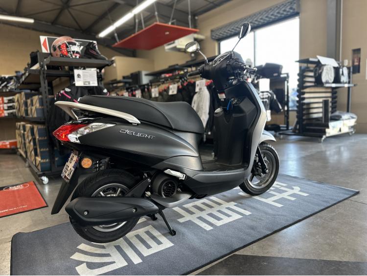 YAMAHA D'ELIGHT