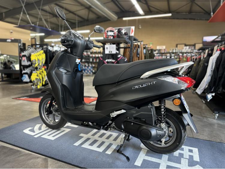 YAMAHA D'ELIGHT