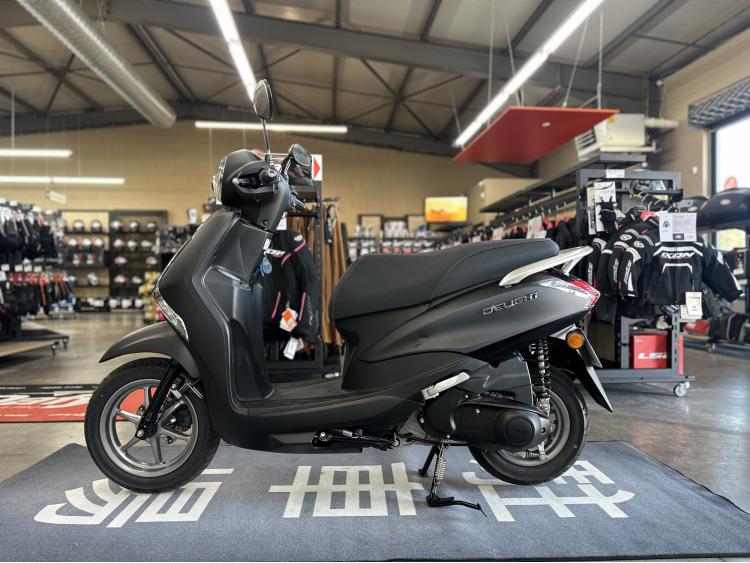 YAMAHA D'ELIGHT